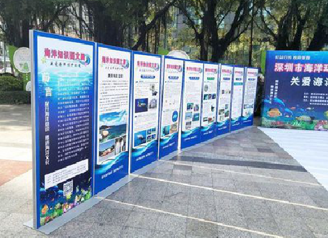 修武KT板的种类和知识。